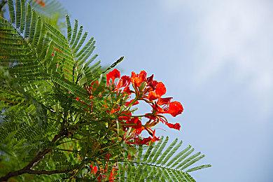 《堡垒之夜》将推出《生化危机》里昂、克莱尔联动皮肤