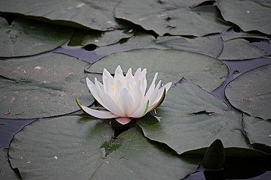 3DM速报：ChinaJoy消息不少人挺少，V社回应反垄断诉讼